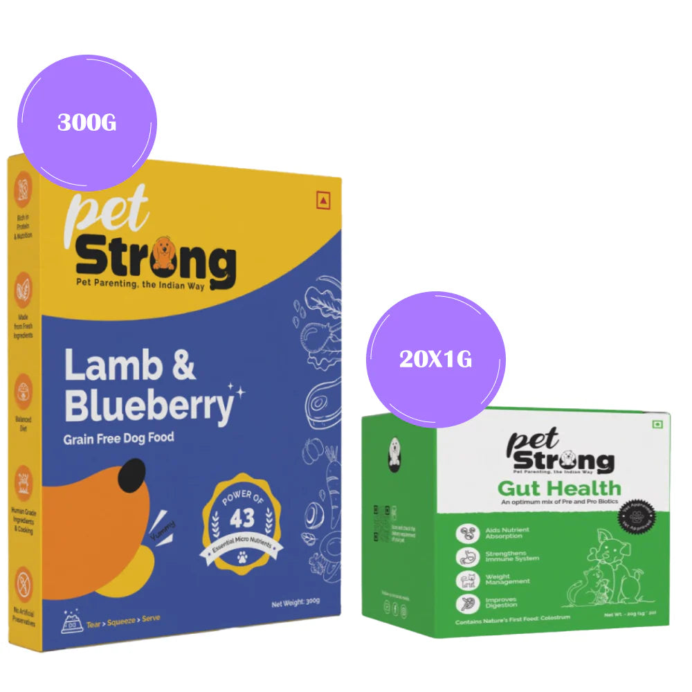 PetStrong Lamb and Blueberry Grain Free Fresh Food and Probiotic and Prebiotic Gut Health Supplement Sachet for Dogs Combo