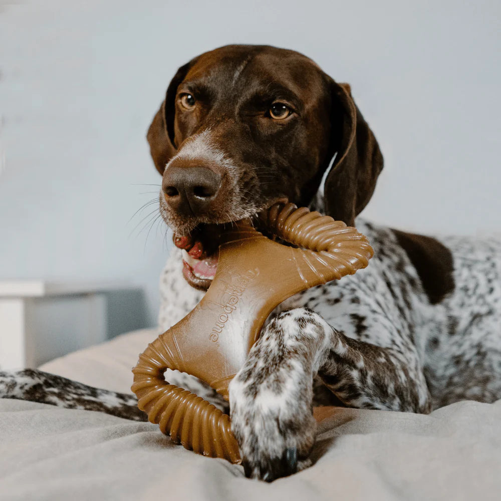 Benebone Chicken Flavored Dental Chew Toy for Dogs