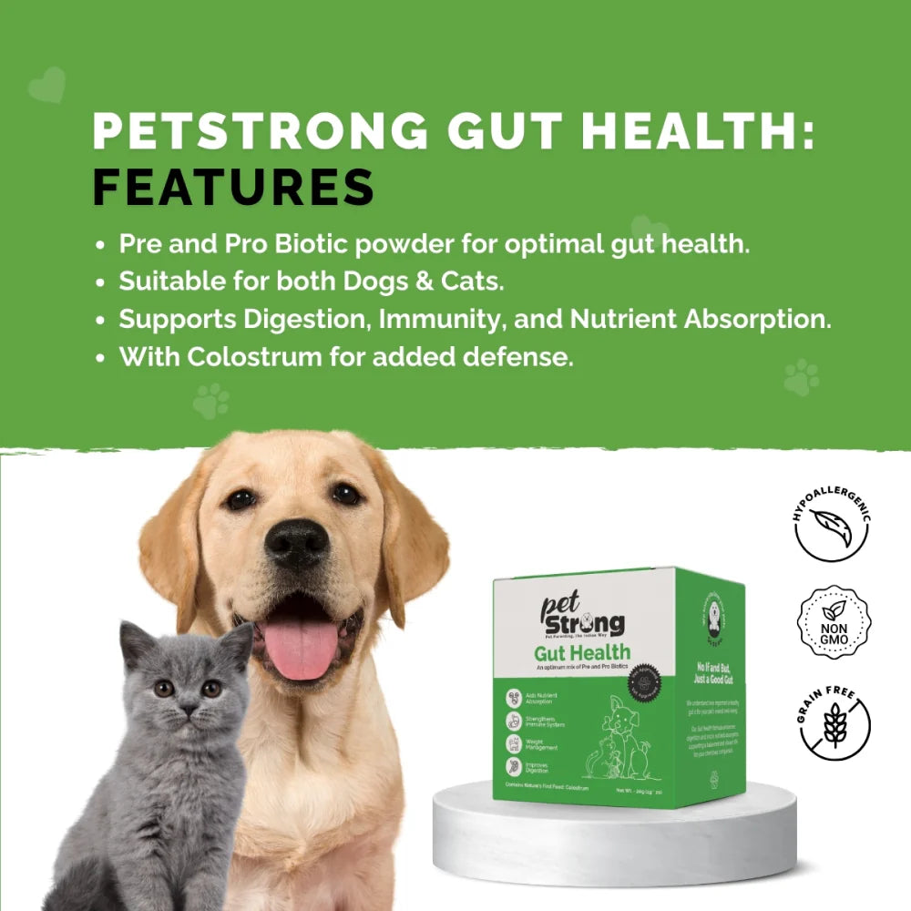 PetStrong Probiotic and Prebiotic Gut Health Supplement Sachet for Dogs and Cats