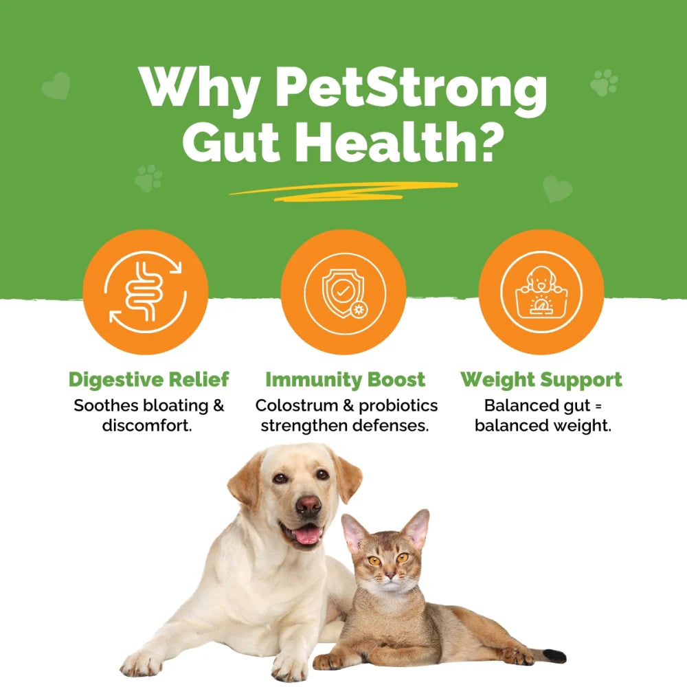 PetStrong Probiotic and Prebiotic Gut Health Supplement Sachet for Dogs and Cats