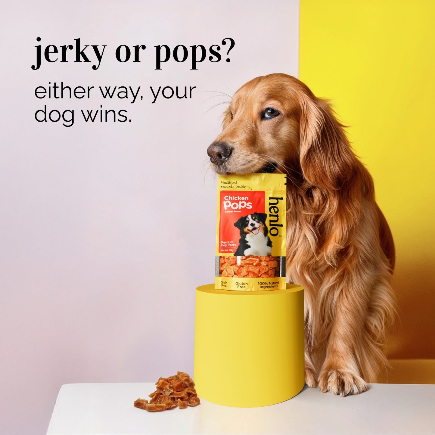 Henlo Everyday Topper for Home Cooked Food and Chicken Pops Treats for Dogs Combo