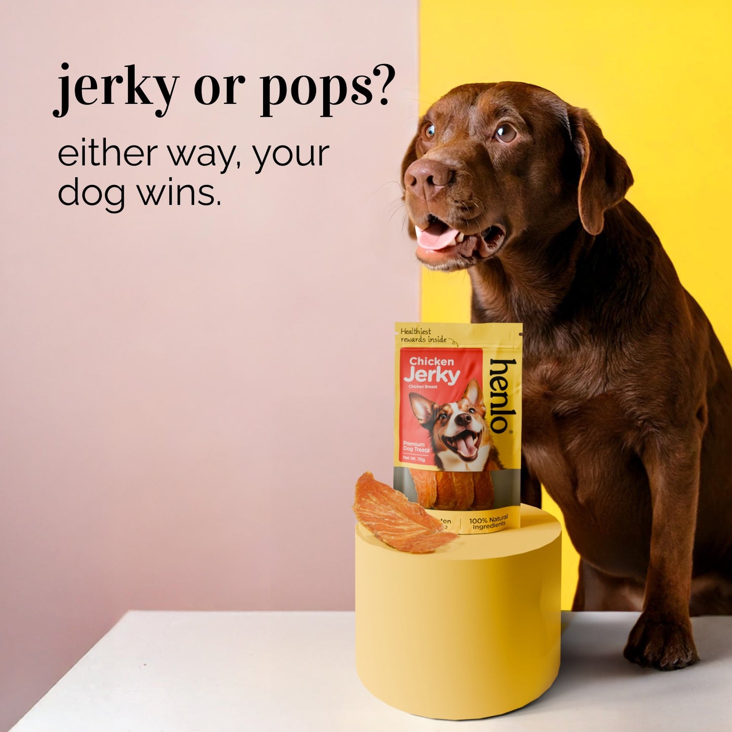 Henlo Everyday Topper for Home Cooked Food and Chicken Jerky Treats for Dogs Combo