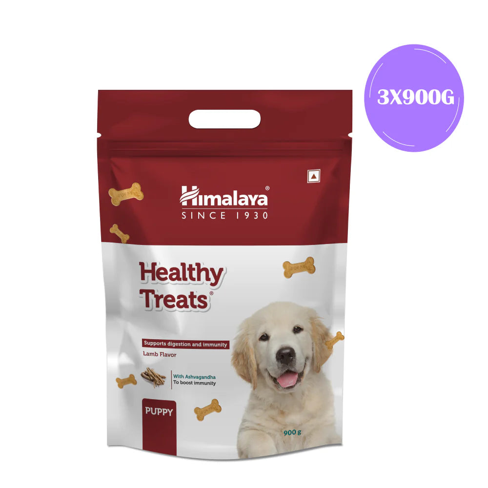 Himalaya Lamb Flavour Healthy Puppy Dog Treats