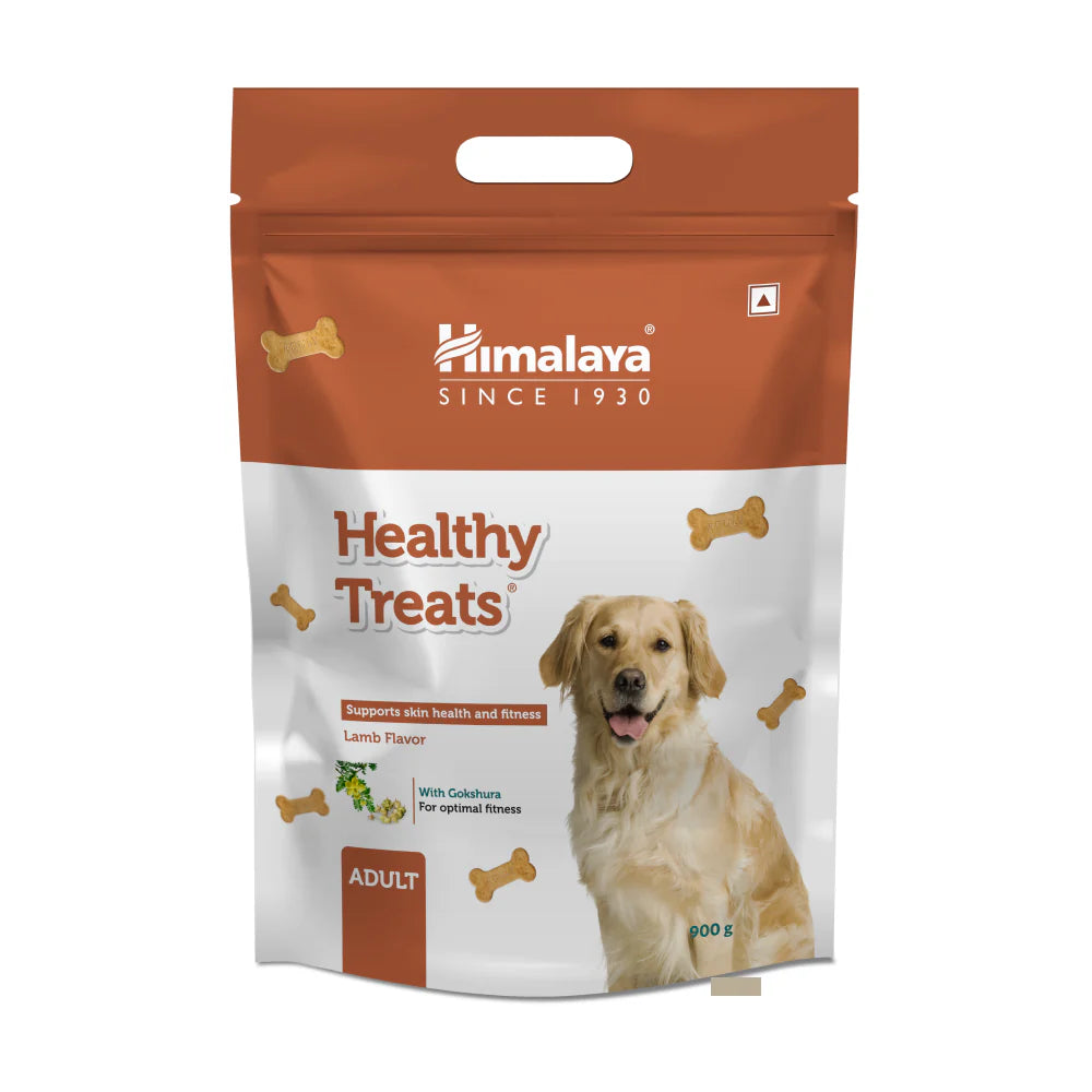 Himalaya Chicken Healthy Adult Treats and Benebone Bacon Flavored Dental Chew Toy for Dogs Combo