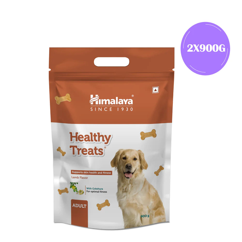 Himalaya Lamb Flavour Healthy Adult Dog Treats