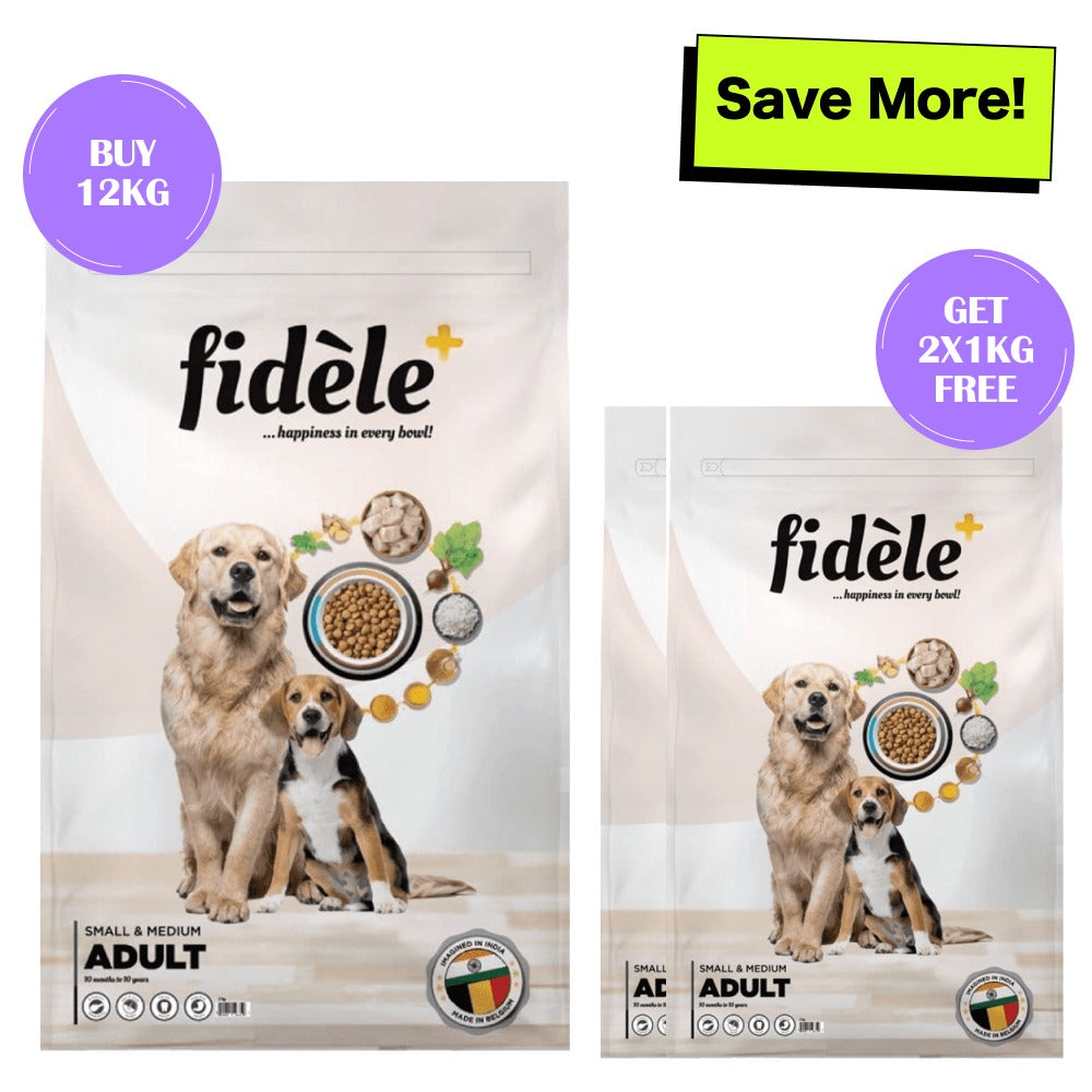 Fidele Plus Adult Small & Medium Dog Dry Food