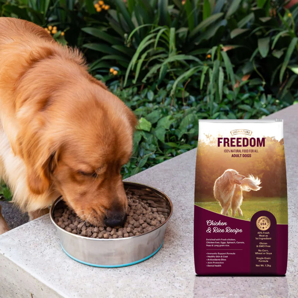 Signature Freedom Chicken and Rice Recipe Adult Dog Dry Food