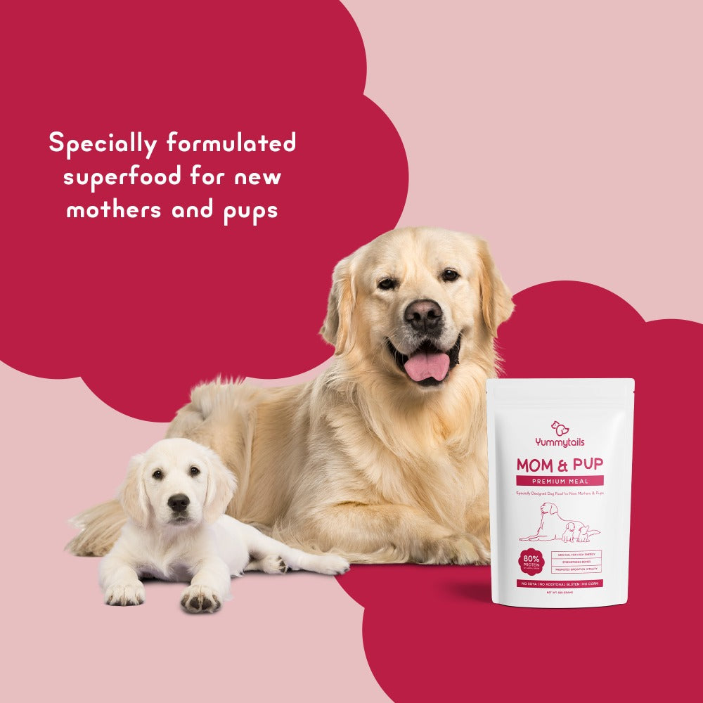 Yummytails Super Premium Mother and Puppy Dry Food | Chicken & Fish Flavor | Corn and Soya Free Formula