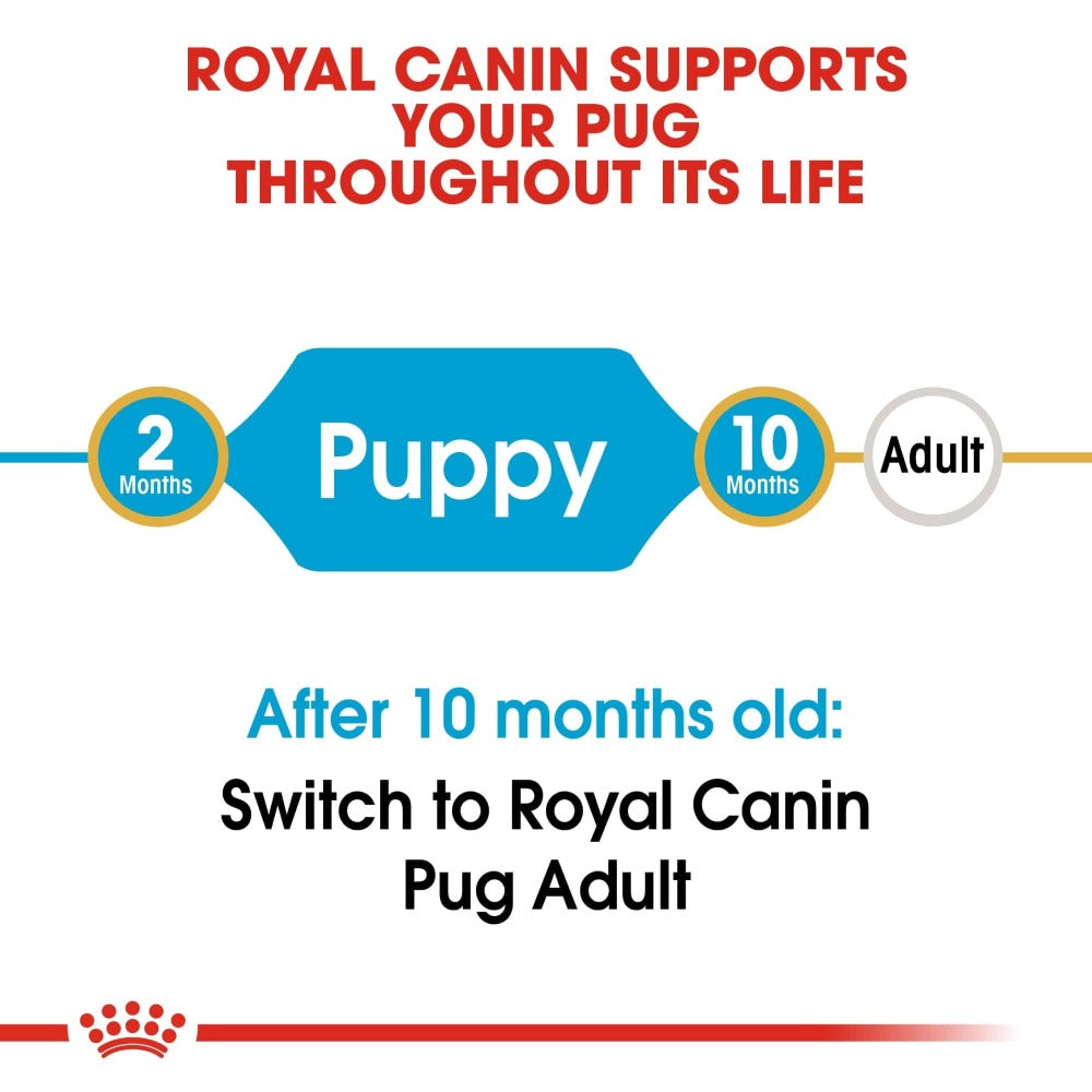 Royal Canin Pug Puppy Dog Dry Food