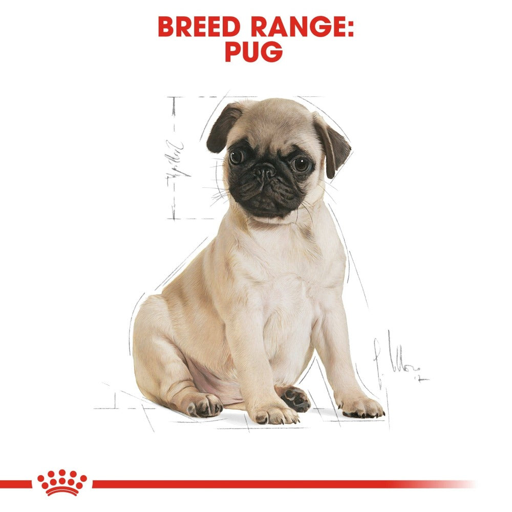 Royal Canin Pug Puppy Dog Dry Food