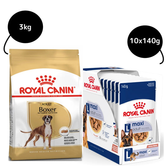 Royal Canin Boxer Dry Food and Maxi Adult Dog Wet Food Combo