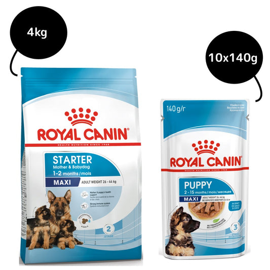 Royal Canin Maxi Starter Dry Food and Maxi Puppy Dog Wet Food Combo