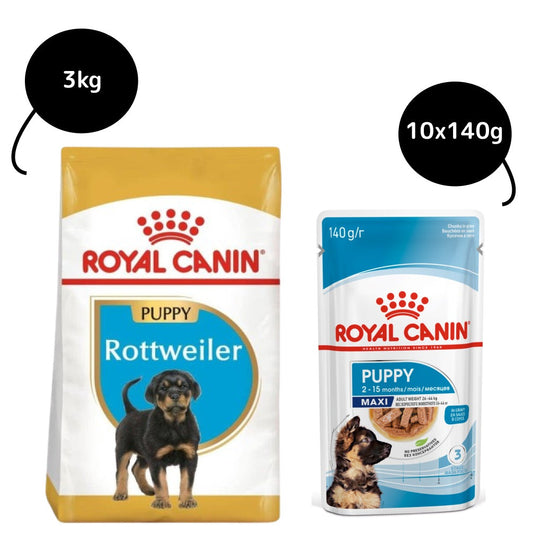 Royal Canin Rottweiler Puppy Dry Food and Maxi Puppy Dog Wet Food Combo