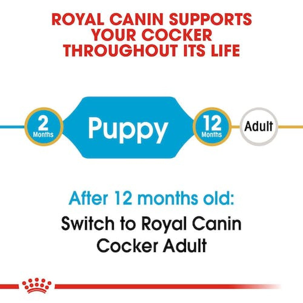 Royal Canin Cocker Spaniel Puppy Dog Dry Food