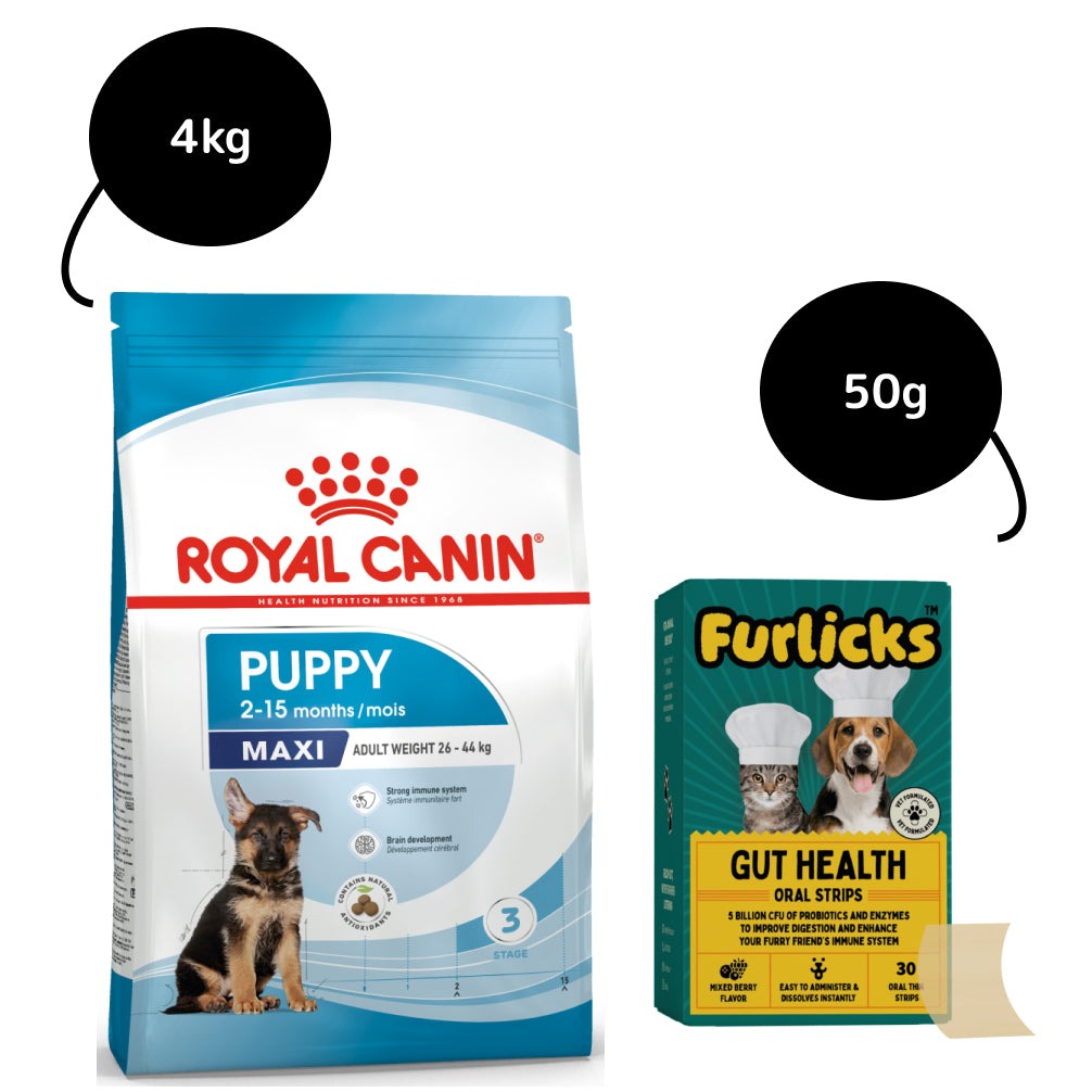 Royal Canin Maxi Puppy Dry Food and Furlicks Gut Health Supplement Combo for Dogs