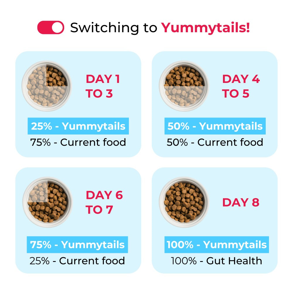 Yummytails Super Premium Mother and Puppy Dry Food | Chicken & Fish Flavor | Corn and Soya Free Formula