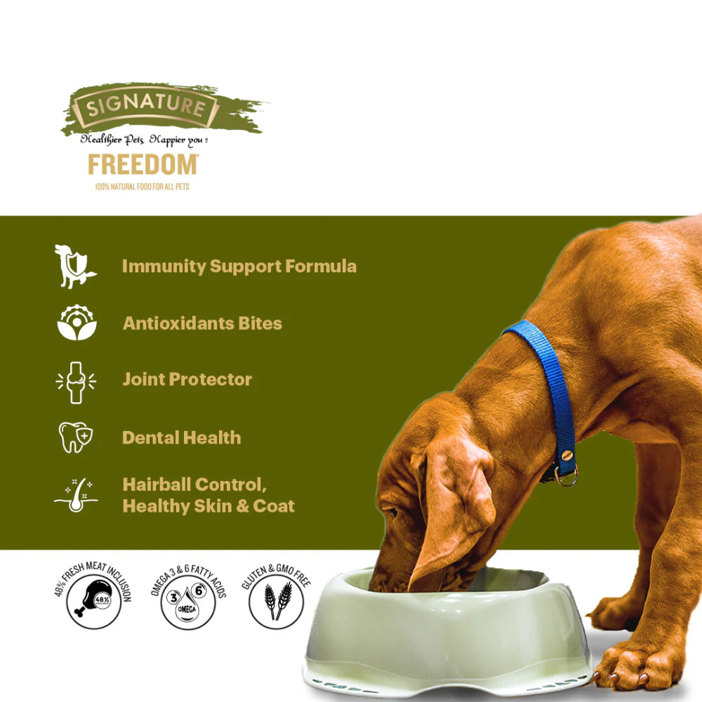 Signature Freedom Chicken and Rice Recipe Puppy Dog Dry Food