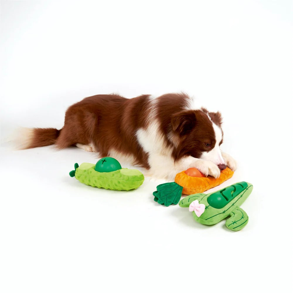 Pedigree Dentastix Oral Care for Adult (Medium Breed of 10 to 25 kg) Treats, Fofos Avocado Treat Toy and Drools Non Toxic Rubber Stud Spike Hard Ball Chew Teething Toy for Dogs Combo