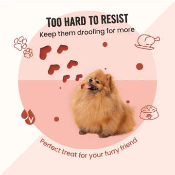 Bark Out Loud by Vivaldis Red Hearts Spanish Dog Treats